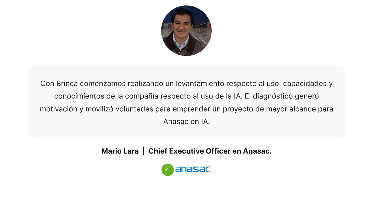 Mario Lara  |  Chief Executive Officer en Anasac.
