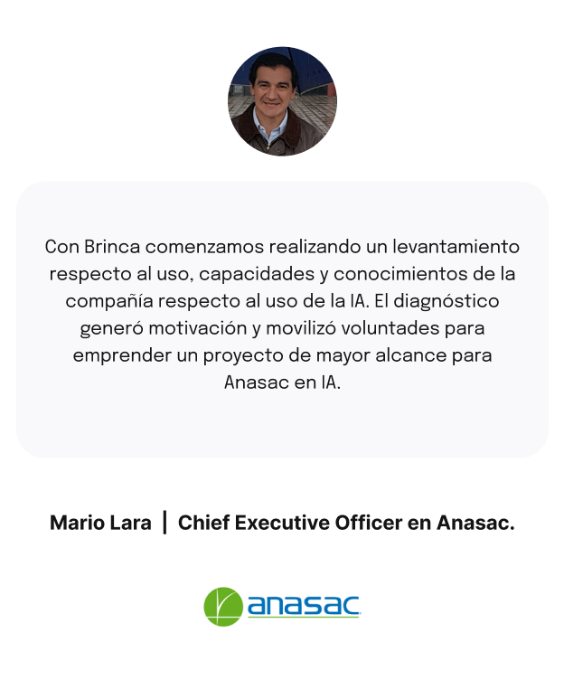 Mario Lara  |  Chief Executive Officer en Anasac.