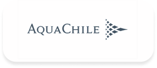 Consultora en innovación, gestión del cambio e IA. - logo AquaChile