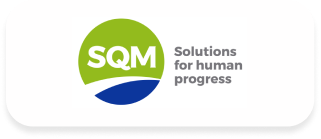 Consultora en innovación, gestión del cambio e IA. - logo SQM